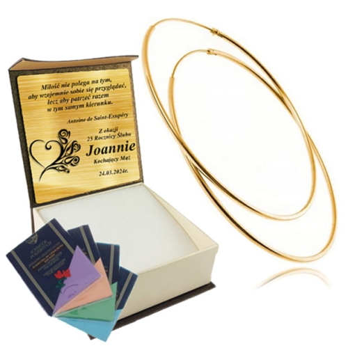 Kolczyki Złote Koła Duże 2,5cm Srebro pr.925